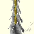 Skinny Tall Christmas Tree - Thumbnail 5