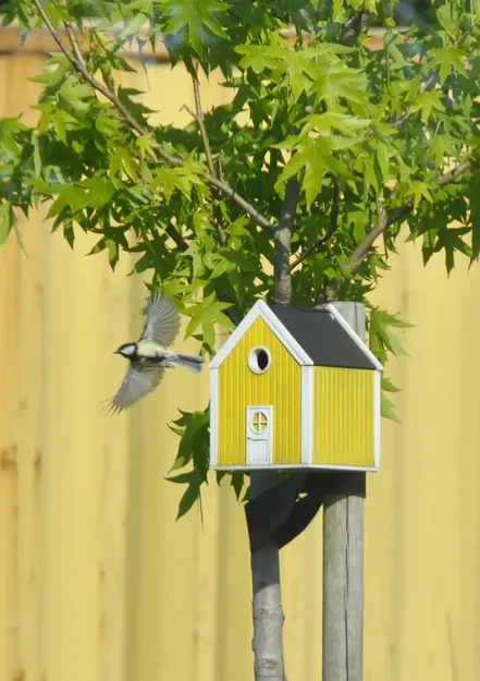 Bird house - Image 1