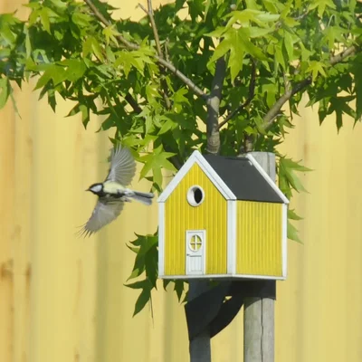 Bird house