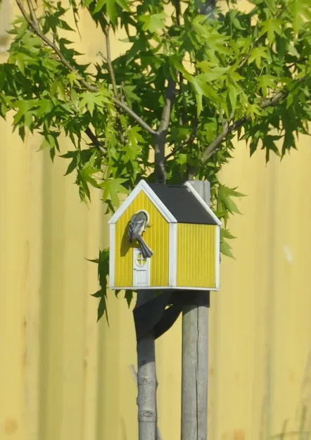Bird house - Image 7