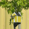 Bird house - Thumbnail 8