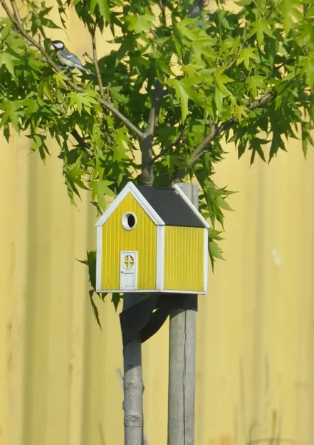 Bird house - Image 9
