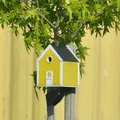Bird house - Thumbnail 9