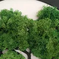 Bonsai giả rêu treo tường (60cm!) - Thumbnail 4