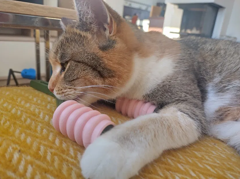 Dụng cụ massage má cho mèo - Image 2