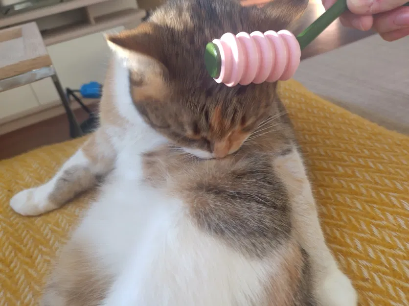 Dụng cụ massage má cho mèo - Image 5