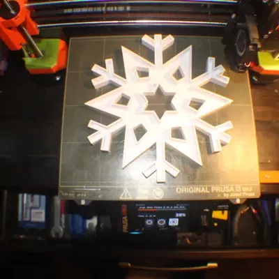 Bông Tuyết Lớn Đứng Được