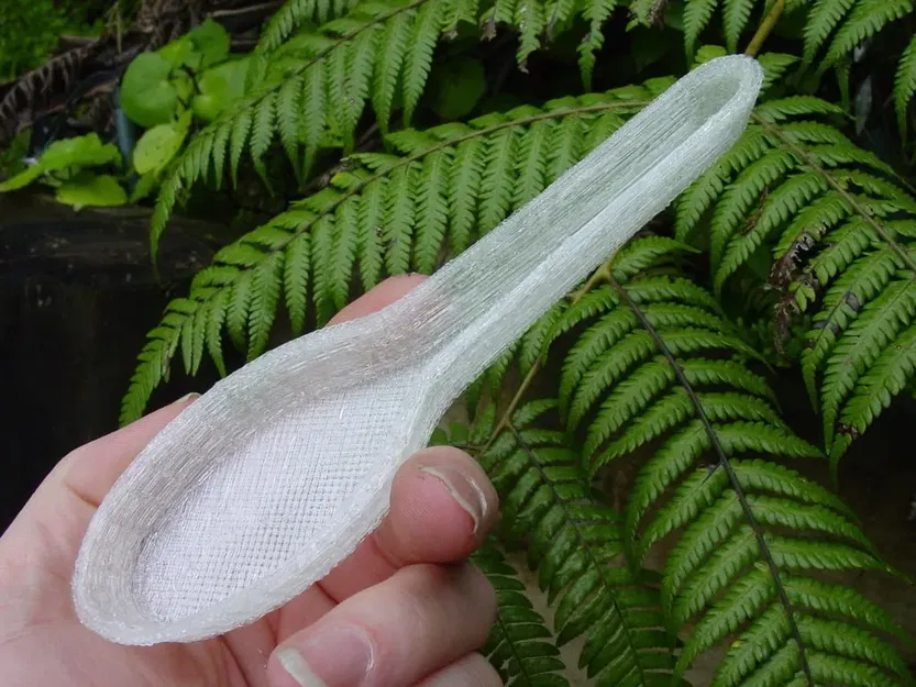 Muỗng Cơm - Image 1