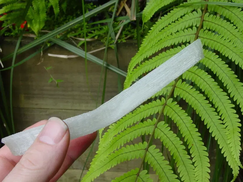 Muỗng Cơm - Image 2