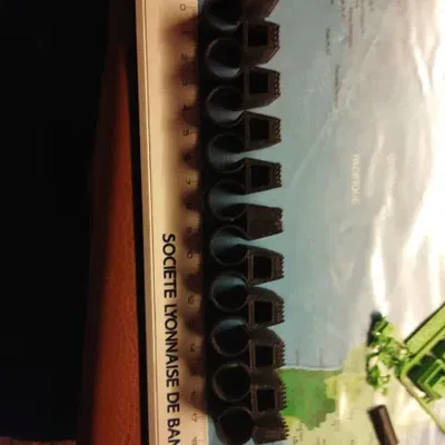 Hệ thống dây đai cứng (Đang phát triển)