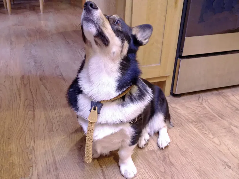 Khóa Kéo Vòng Cổ - Image 5