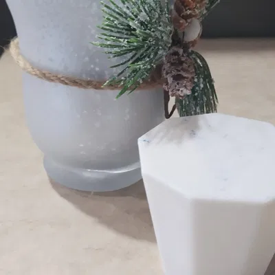 Inner Plant Platform