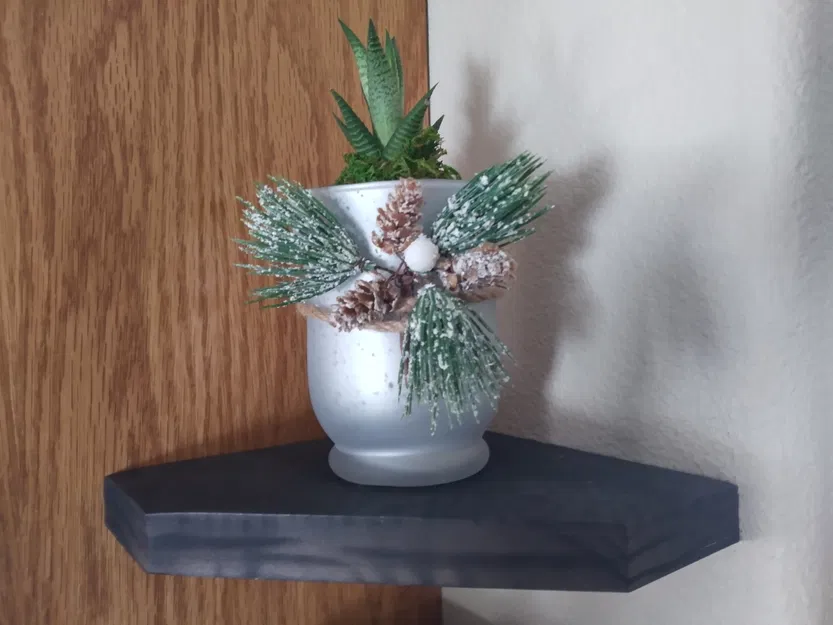 Inner Plant Platform - Image 6