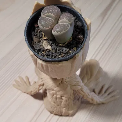 Chậu Trồng Cây Baby Groot Siêu Dễ Thương