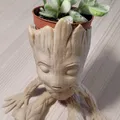 Chậu Trồng Cây Baby Groot Siêu Dễ Thương - Thumbnail 5