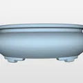 Chậu bonsai 17 oval tròn có viền 222x172x75mm - Thumbnail 5