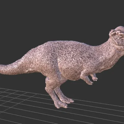 Lịch Vạn Niên 2023 số 1: Platytholus