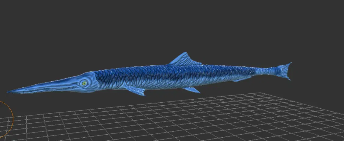 Saurichthys - Image 1