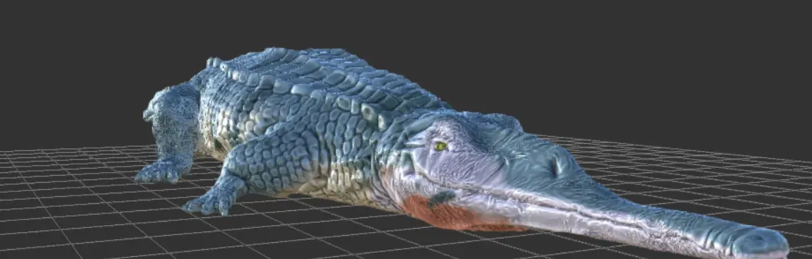 Paleorhinus - Hóa thạch Khủng long Phytosaur của Ba Lan - Image 1