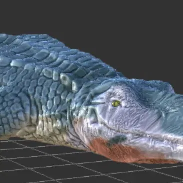 Paleorhinus - Hóa thạch Khủng long Phytosaur của Ba Lan