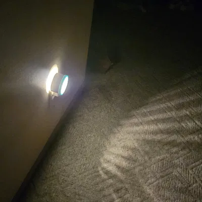 Đèn Ngủ Kèm Bộ Khuếch Tán Có Thể Thay Đổi