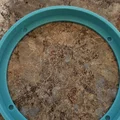 Đèn Ngủ Kèm Bộ Khuếch Tán Có Thể Thay Đổi - Thumbnail 8