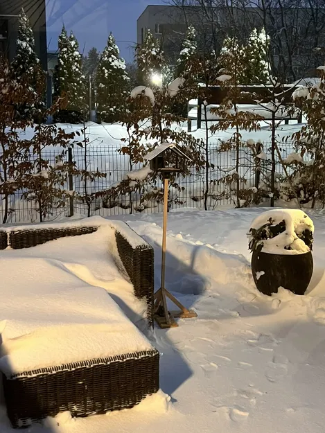 Máng Ăn Cho Chim Có Bộ Cấp Hạt - Image 5