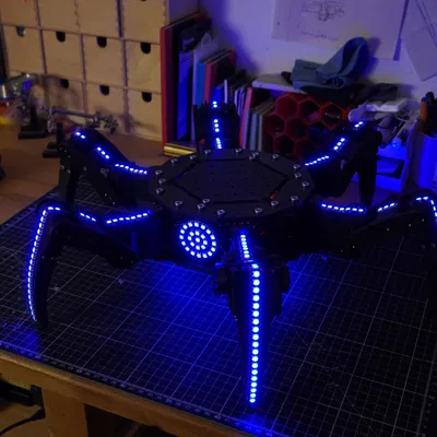 3D Printed Hexapod