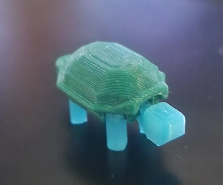 Đuôi Rùa Cứng Cáp - Image 2