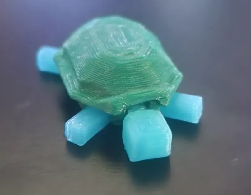 Đuôi Rùa Cứng Cáp - Image 3