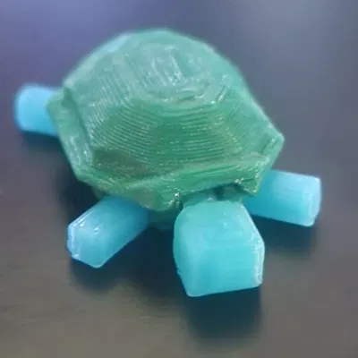 Đuôi Rùa Cứng Cáp