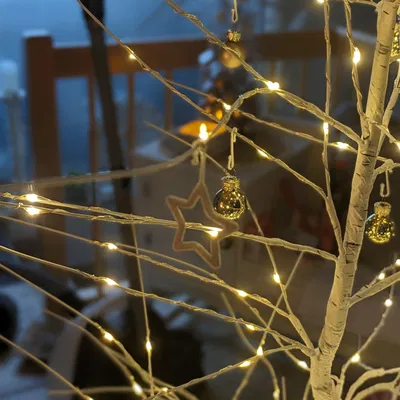 Star Christmas Hanger