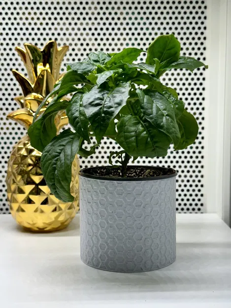 Chậu Hoa Hình Lục Giác - Chế Độ Bình Hoa - Image 1