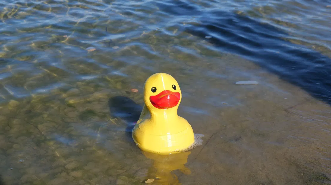 Mô Hình Vịt Cao Su Điều Khiển Từ Xa Renè - Image 1