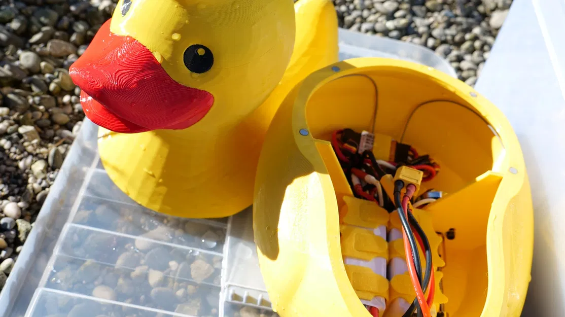 Mô Hình Vịt Cao Su Điều Khiển Từ Xa Renè - Image 2