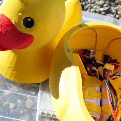 Mô Hình Vịt Cao Su Điều Khiển Từ Xa Renè