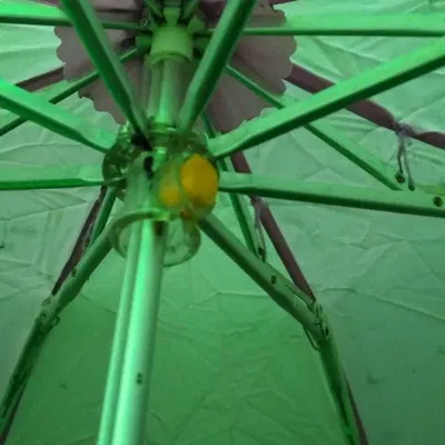 Nút dù ô Umbrella button