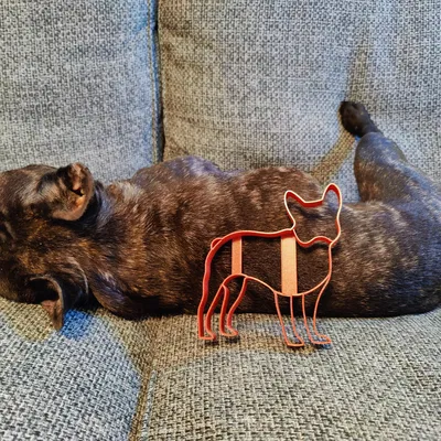 Khuôn Cắt Bánh Quy Hình Chó Pháp