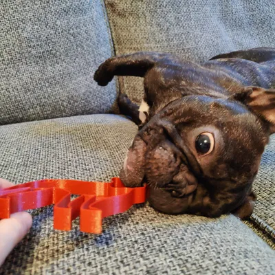 Khuôn Cắt Bánh Quy Hình Chó Pháp