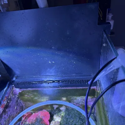 Light baffle and filter for D-D1200 Sump.