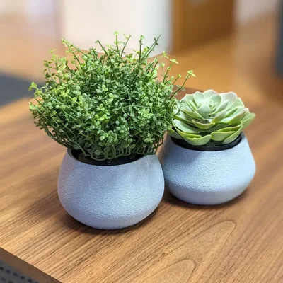 Chậu Cây Đơn Giản