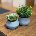 Chậu Cây Đơn Giản - Thumbnail 2
