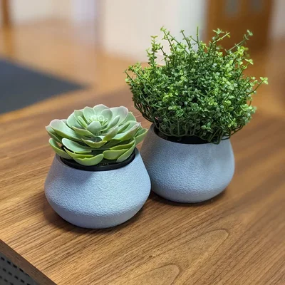Chậu Cây Đơn Giản