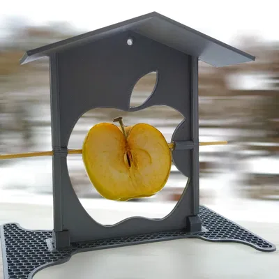 Khay Đựng Thức Ăn Cho Chim - Kiểu Táo