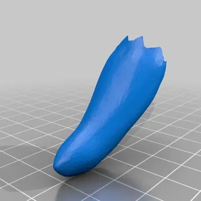 Cúp Chili Cookoff nhiều màu