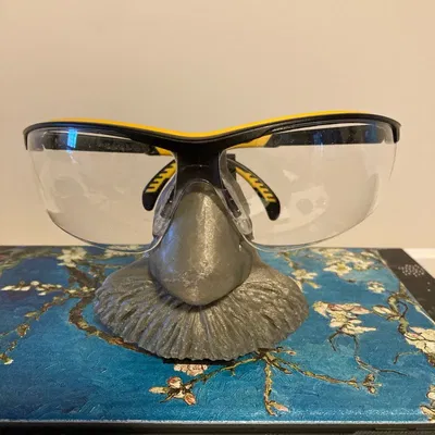 Chân Kính Bảo Hộ Hình Einstein