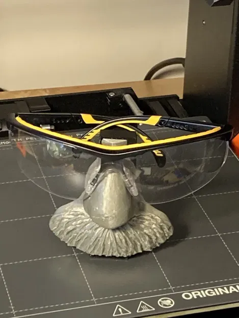 Chân Kính Bảo Hộ Hình Einstein - Image 2