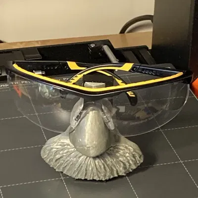 Chân Kính Bảo Hộ Hình Einstein