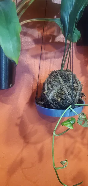 Đế Treo Tường Chậu Cây - Image 1