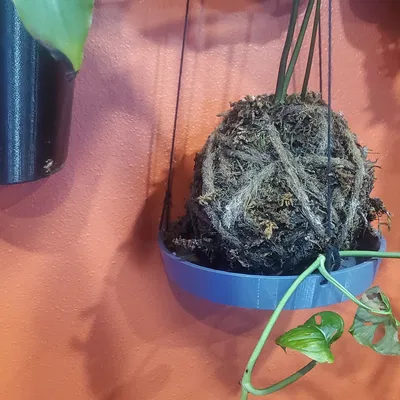 Đế Treo Tường Chậu Cây